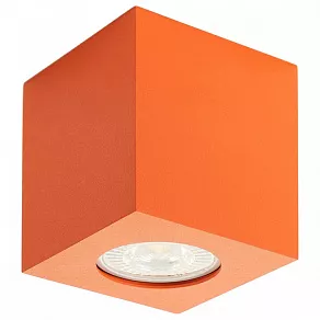 Накладной светильник Denkirs 3010 DK3010-OR