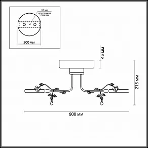 Накладной светильник Odeon Light Fiuggi 4036/48L