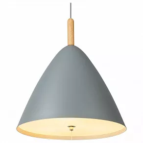 Подвесной светильник Globo Pura 15325G