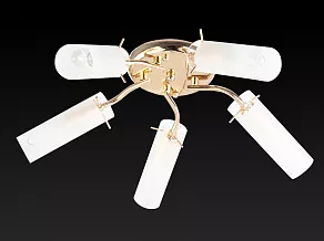 Потолочная люстра TopLight Brittany TL7130X-05FG