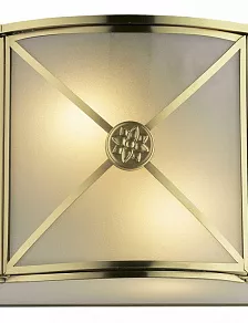 Накладной светильник Odeon Light Riona 2270/2W