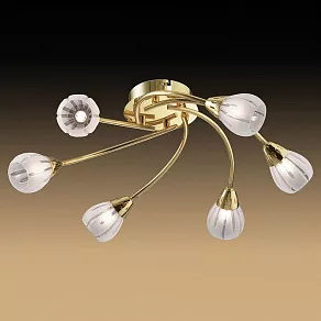 Потолочная люстра Odeon Light Posi 1616/6C
