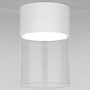 Накладной светильник Elektrostandard Lumen a064710