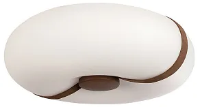 Накладной светильник Loft it Bolina 10473