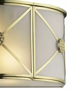 Накладной светильник Odeon Light Riona 2270/2W