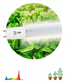 Лампа светодиодная Эра  G13 18Вт 1200K XGYT8B104-E18 F