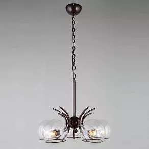 Подвесная люстра Omnilux Gavorrano OML-28803-05