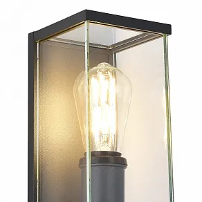 Накладной светильник ST-Luce Gross SL9019.701.01