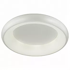 Накладной светильник Odeon Light Rondo 4063/40CL