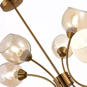 Люстра на штанге EVOLUCE Tratti SLE1136-302-08