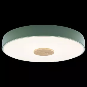 Накладной светильник Loft it Axel 2 10003/24 Green