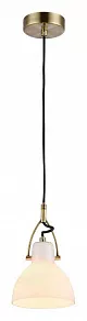 Подвесной светильник Maytoni Daniel MOD407-PL-01-BZ