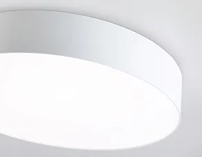 Накладной светильник Ambrella Light ORBITAL FZ1350