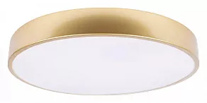 Накладной светильник Loft it Flims 10228/A