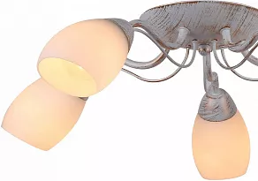 Потолочная люстра Arte Lamp Carlo A8105PL-5WG