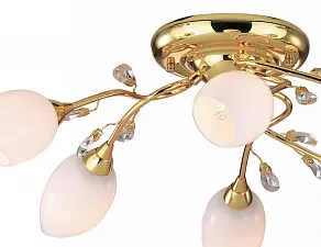 Потолочная люстра Odeon Light Fiera 1604/6