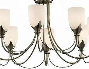 Подвесная люстра Odeon Light Risto 2079/8