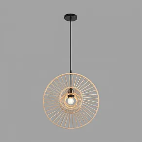 Подвесной светильник Lumion ECO 8383/1