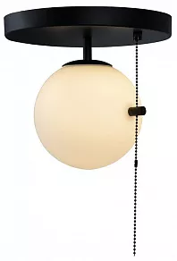 Светильник на штанге Loft it Signal 10029C Black