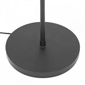 Торшер Citilux LOONG CL810031