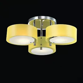 Потолочная люстра EVOLUCE Foresta SL483.092.03