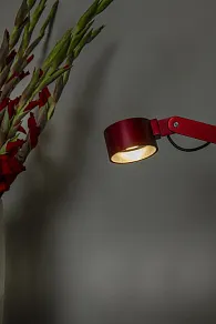 Настольная лампа офисная Lucide Ogden 56505/06/32