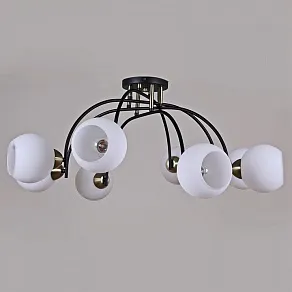 Потолочная люстра ILLUMICO  IL0250-8CSQ-79 BK AB