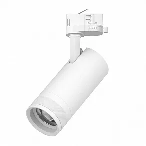 Светильник на штанге Lightstar Canno Pro C4206QT