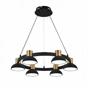 Подвесная люстра Indigo Traforo 11059/6P Black