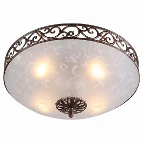 Накладной светильник ST-Luce SL244 SL244.202.04