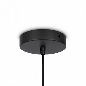 Подвесной светильник Maytoni Roots MOD192PL-01W