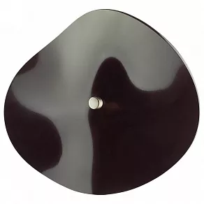 Накладной светильник Odeon Light Fluent 4859/5WL