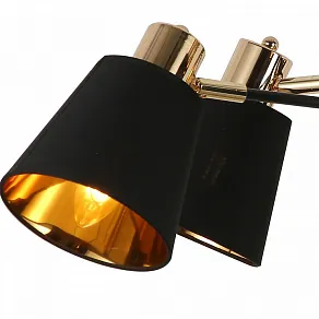 Люстра на штанге ILLUMICO Abelie IL6116-6COU-79 BK GD Abelie