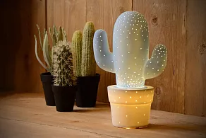 Настольная лампа декоративная Lucide Cactus 13513/01/68
