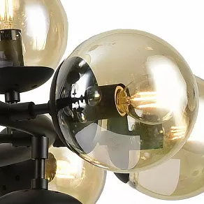 Подвесной светильник Arte Lamp 1664 A1664SP-25BK