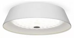 Накладной светильник Freya Cells FR10013CL-L24W