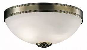 Накладной светильник Odeon Light Ovale 1990/2C