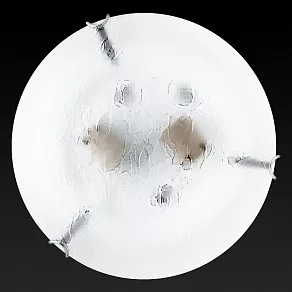 Накладной светильник TopLight Julianna TL9301Y-02SM