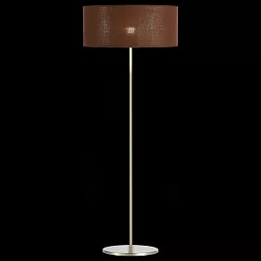 Торшер EVOLUCE Brescia SLE300595-01