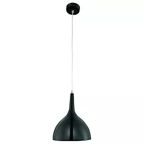 Подвесной светильник Arte Lamp Pendants 2 A9077SP-1BK