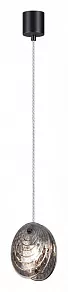 Подвесной светильник Odeon Light Mussels 5038/1A