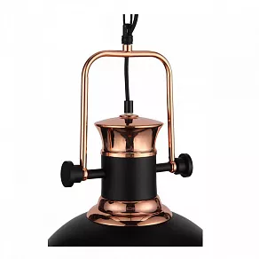 Подвесной светильник ST-Luce Lanterio SL404.403.01