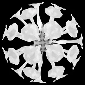 Накладной светильник Lightstar Bardano 891656