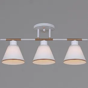 Люстра на штанге Reluce  07594-0.3-03 WG