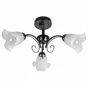 Люстра на штанге TopLight Magdalene TL3490X-03BC