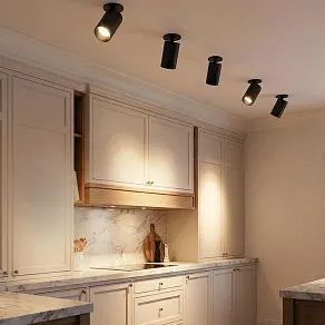 Спот Citilux AXEL CL512D11