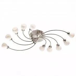 Потолочная люстра Odeon Light Akron 2469/10C