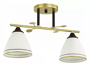 Накладной светильник Lumion Becky 4544/2C