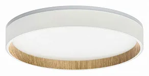 Накладной светильник Citilux Etalon CL750240