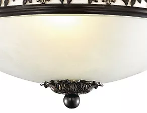 Накладной светильник Odeon Light Sagitta 2669/1W